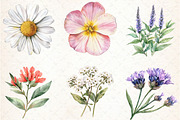 Watercolor Wild Flower Clipart, an Illustration by Libby Wishes (Thumbnail 3 of 7)