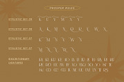 Prosper Rules, a Serif Font by Nathatype (Thumbnail 11 of 11)