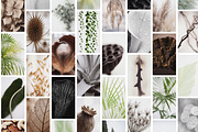 Botanical Stories Stock Pack, a Background Photo by Iconogenic (Thumbnail 3 of 4)