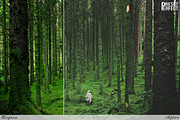 Matte Lightroom Presets, an Action Add-On by Preset Perfect (Thumbnail 5 of 5)