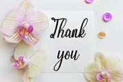 Hello Samantha, a Handwritten Font by FreshTypeINK (Thumbnail 2 of 7)