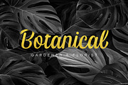 Haesley, a Script Font by Fargun Studio (Thumbnail 4 of 21)