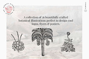 Vintage Bundle - 6600+ Illustrations, an Animal Illustration by Nomad Visuals (Thumbnail 36 of 45)