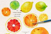 Fruit & Vegetable Watercolor Bundle, a Decorative Illustration by Olga Begak Art & Design (Thumbnail 5 of 13)