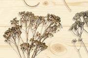 Autumn Floral Mockup Objects, an Object Graphic by uncle-rico (Thumbnail 3 of 13)
