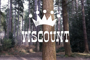 Viscount Western Font | Playful Type, a Handwritten Font by Craft Graphic Type (Thumbnail 4 of 10)