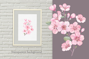 Blossom. Watercolor Collection.