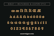Bubley, a Slab Serif Font by Amera Type (Thumbnail 8 of 10)