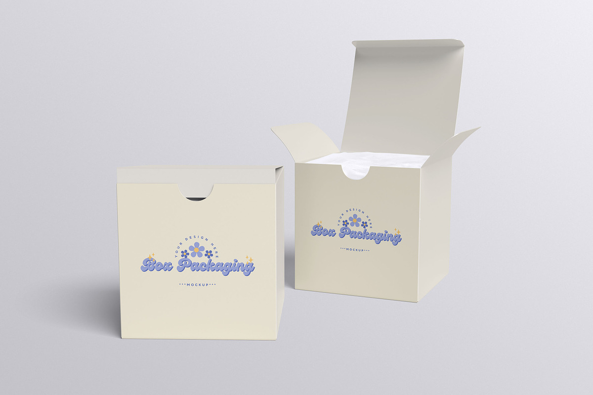 Box Packaging Mockup, a Packaging Mockup by xavier_studio (Photo 3 of 5)