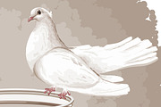 2 DOVES ON A RING IN VECTOR, a Decorative Illustration by Nadin_Lebedeva (Thumbnail 2 of 4)