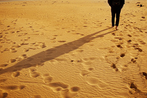 The traveller containing traveller, desert, and walk