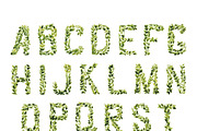Foliage Watercolor Vector Font, an Illustration by KsanasK.Art (Thumbnail 2 of 2)