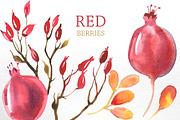 Watercolor branches and berries, an Illustration by katyabuslaeva (Thumbnail 3 of 8)