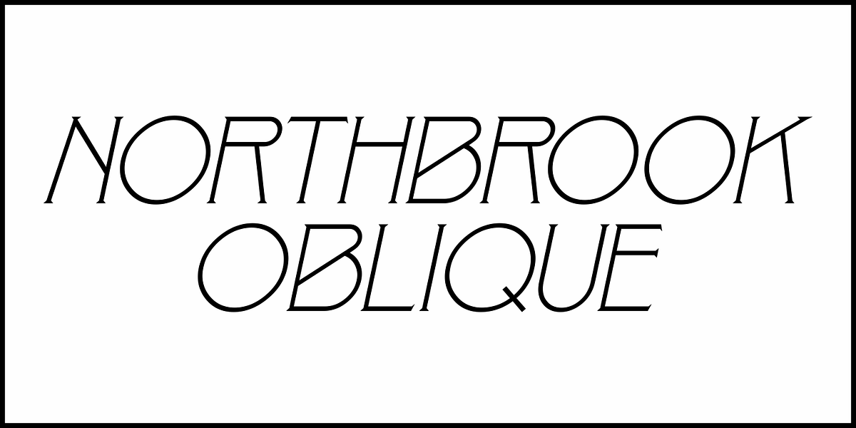 Northbrook JNL, a Serif Font by Jeff Levine Fonts (Photo 4 of 5)
