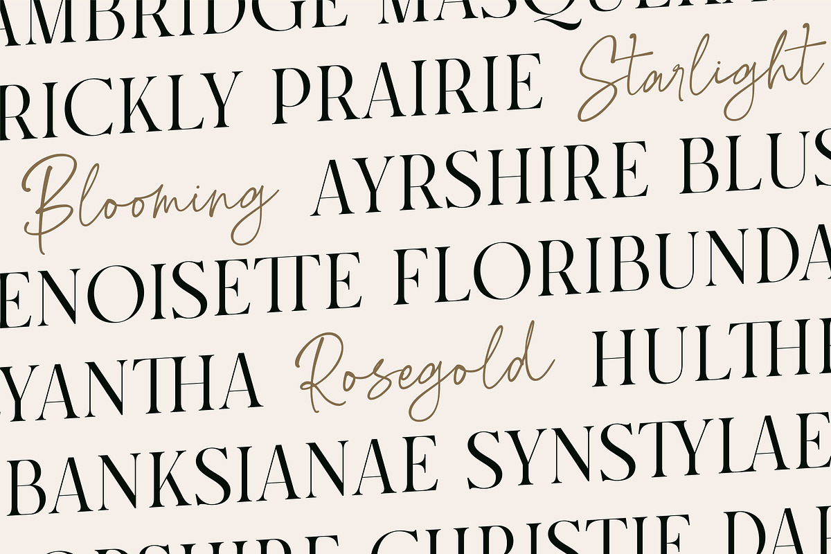 Rosegold House - Modern Font Duo, a Serif Font by TropicalSunlightCo. (Photo 7 of 13)