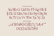 Mollen Fancyla Aesthetic Serif Font, a Serif Font by Imoodev (Thumbnail 6 of 6)