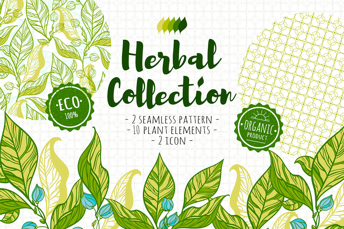 Herbal collection (+bonus), an Object Graphic by Fresh-shop (Photo 1 of 7)