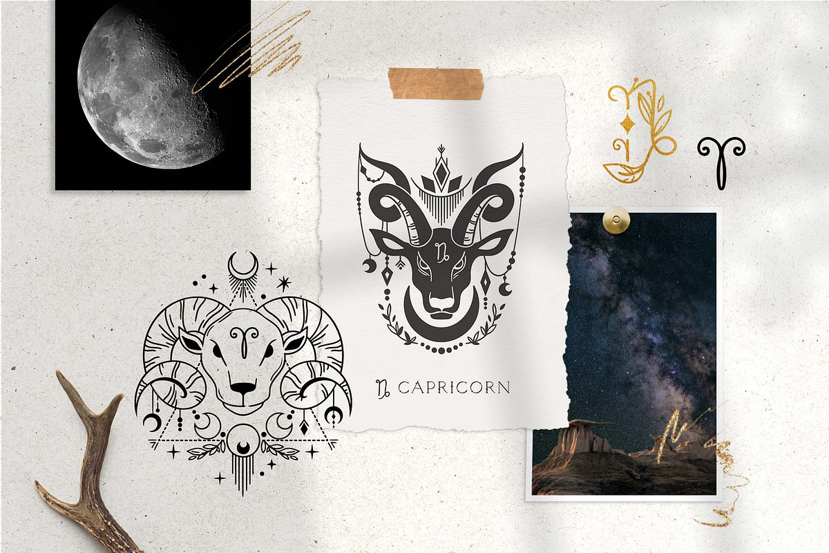 Mystical Zodiac constellations, an Illustration by My Space Garden (Photo 3 of 19)