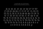 Chakem - Modern Ligature serif Font, a Serif Font by Issam Type (Thumbnail 11 of 12)