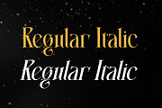Christmas Fecsival – Elegant Serif, a Serif Font by Letterara (Thumbnail 10 of 15)