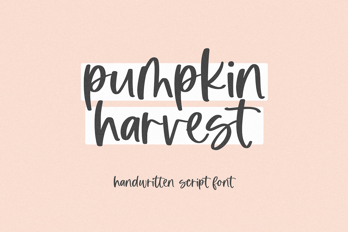 Pumpkin Harvest | Modern Script Font, a Script Font by KA Designs (Photo 1 of 17)