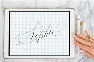 Procreate Calligraphy Brush Sophie