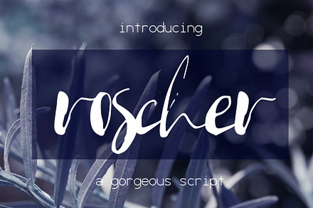 Roscher Font, a Script Font by SophieSaxo