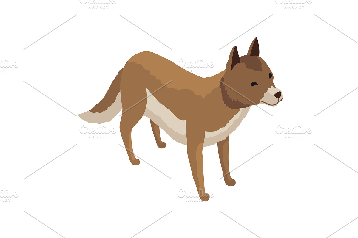 Farm animal isometric. Domestic, an Animal Illustration by the8monkey