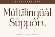 Gradeur Modern Serif Font, a Serif Font by Storytype Studio (Thumbnail 12 of 15)