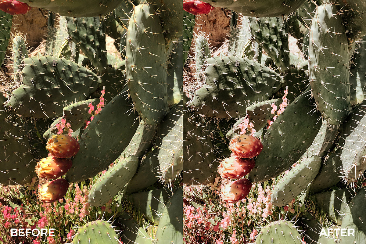 Blush & White Lightroom Presets, an Action Add-On by in between details (Photo 36 of 38)