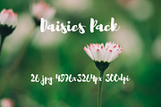 Daisies Pack, a Templates & Theme by ApertureVintage (Thumbnail 9 of 14)