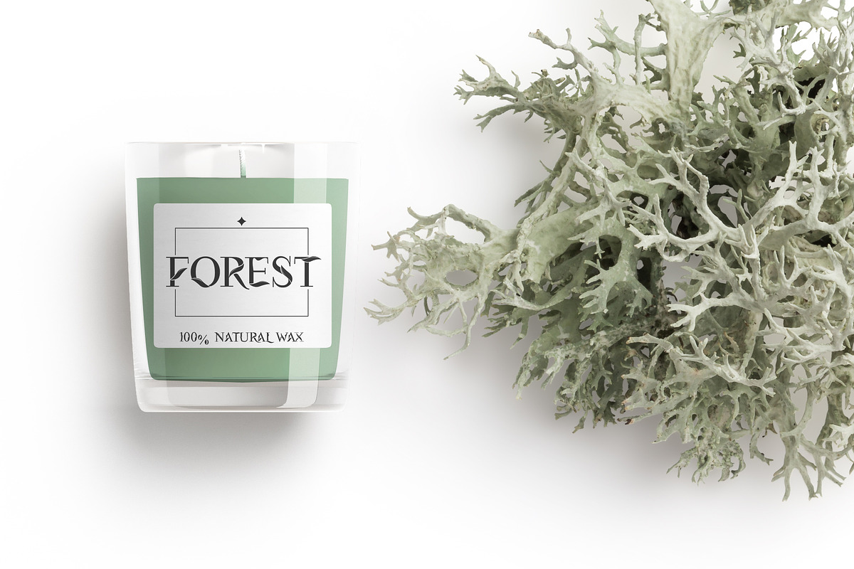 Flora | Modern Display Font, a Serif Font by Kandella's Art (Photo 5 of 18)