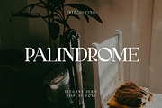 Palindrome Elegant Serif Font, a Serif Font by UICreative (Thumbnail 1 of 13)