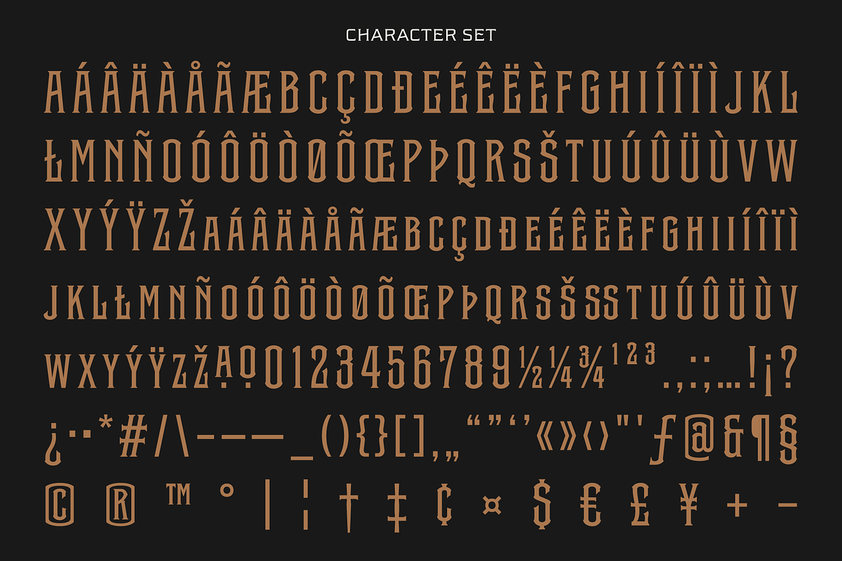 Stone Iron - 5 Weight + Variable, a Serif Font by Ilham Herry (Photo 9 of 9)