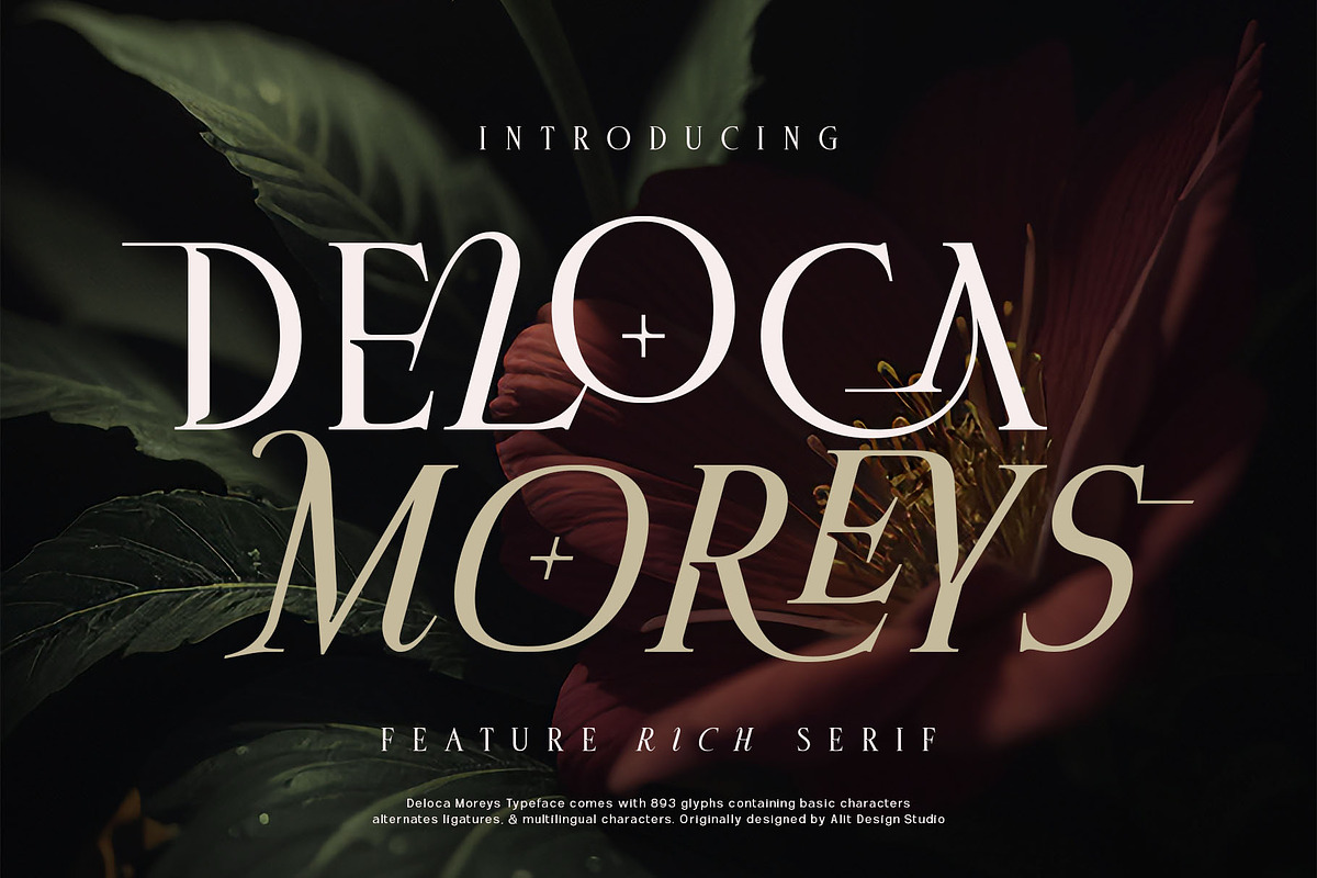 Deloca Moreys Typeface, a Serif Font by alit design (Photo 1 of 20)