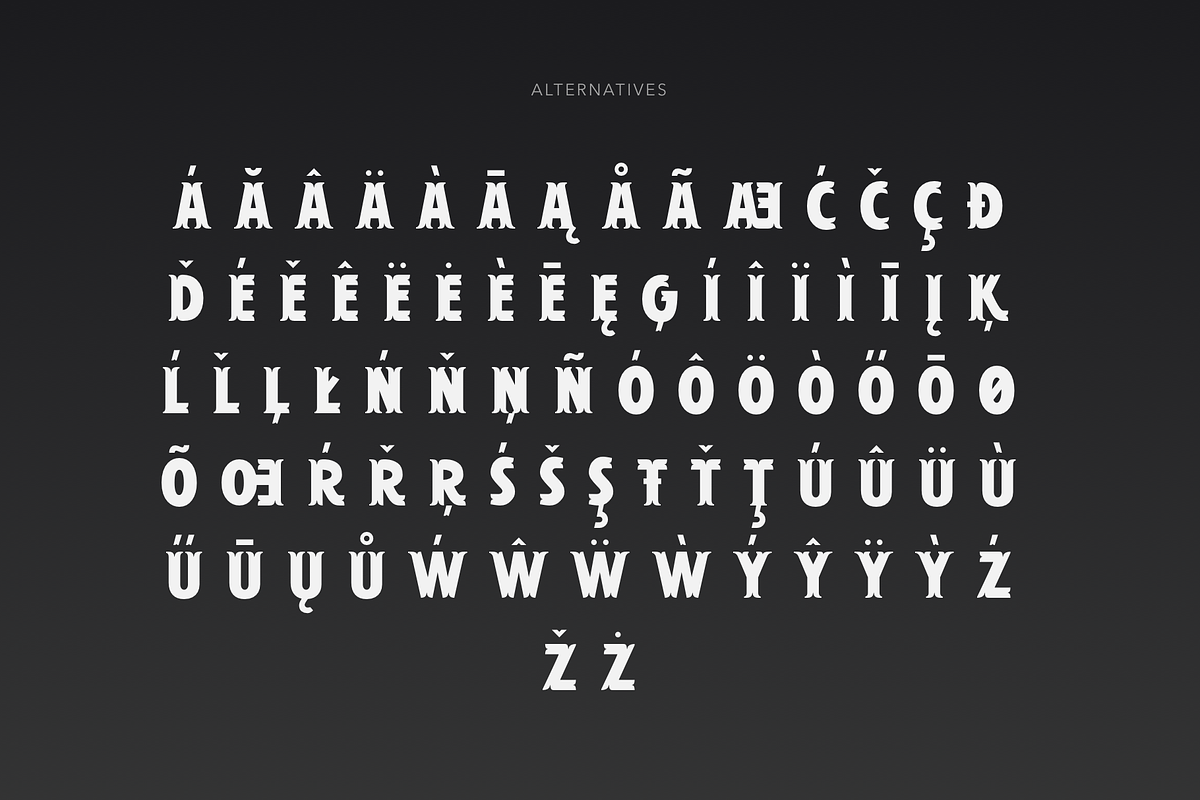 EUROPIUM - Vintage Slab Serif Font, a Slab Serif Font by vix.vix (Photo 4 of 6)