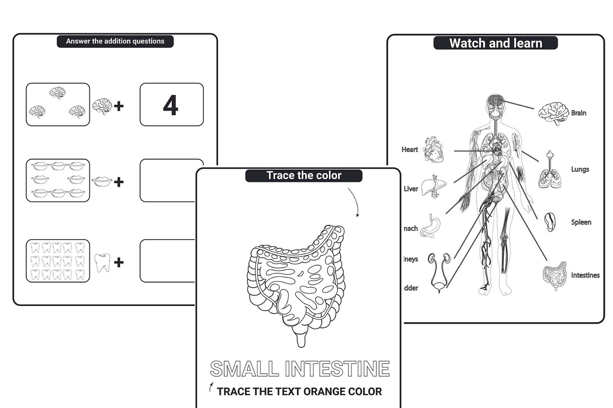 Human Anatomy Coloring Pages, an Education Illustration by Sourcedigi (Photo 2 of 2)