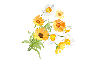 Vector Object Brushes. Daffodils