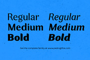 Zorzal | A serif-sans hybrid, a Serif Font by Pedroglifos (Thumbnail 11 of 11)