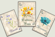 Vintage Style Botanical Cards, an Illustration by Arevka (Thumbnail 2 of 3)