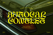 Struick Display Serif, a Serif Font by Violet Natural (Thumbnail 3 of 10)