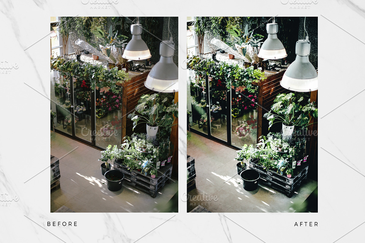 10 Botanical Lightroom Presets preview 7