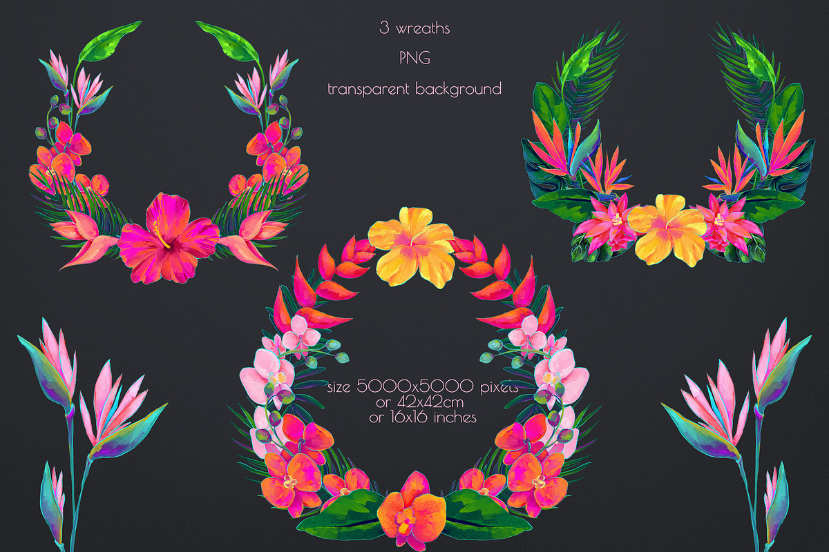 Birds of Paradise graphics/patterns, a Pattern Graphic by Salted Galaxy (Photo 3 of 14)