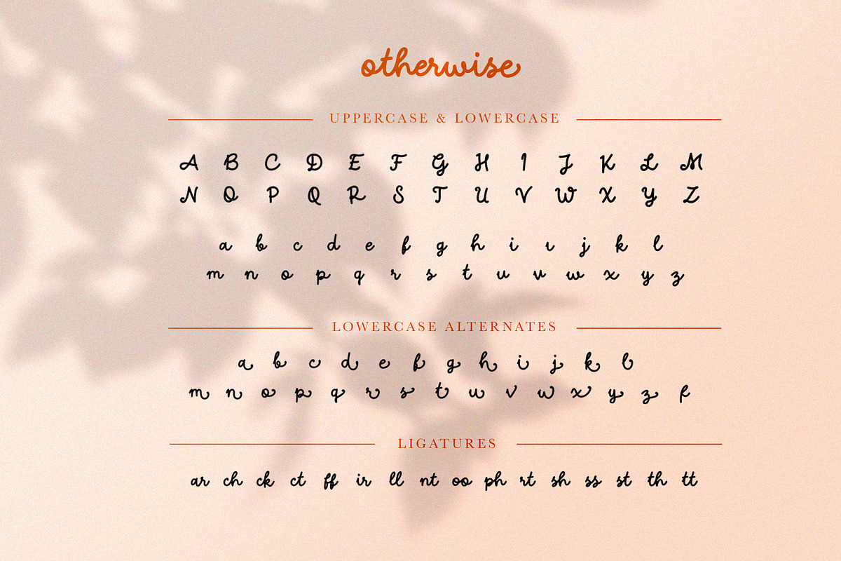 Otherwise - Script, a Script Font by ARSAVISUAL (Photo 7 of 9)