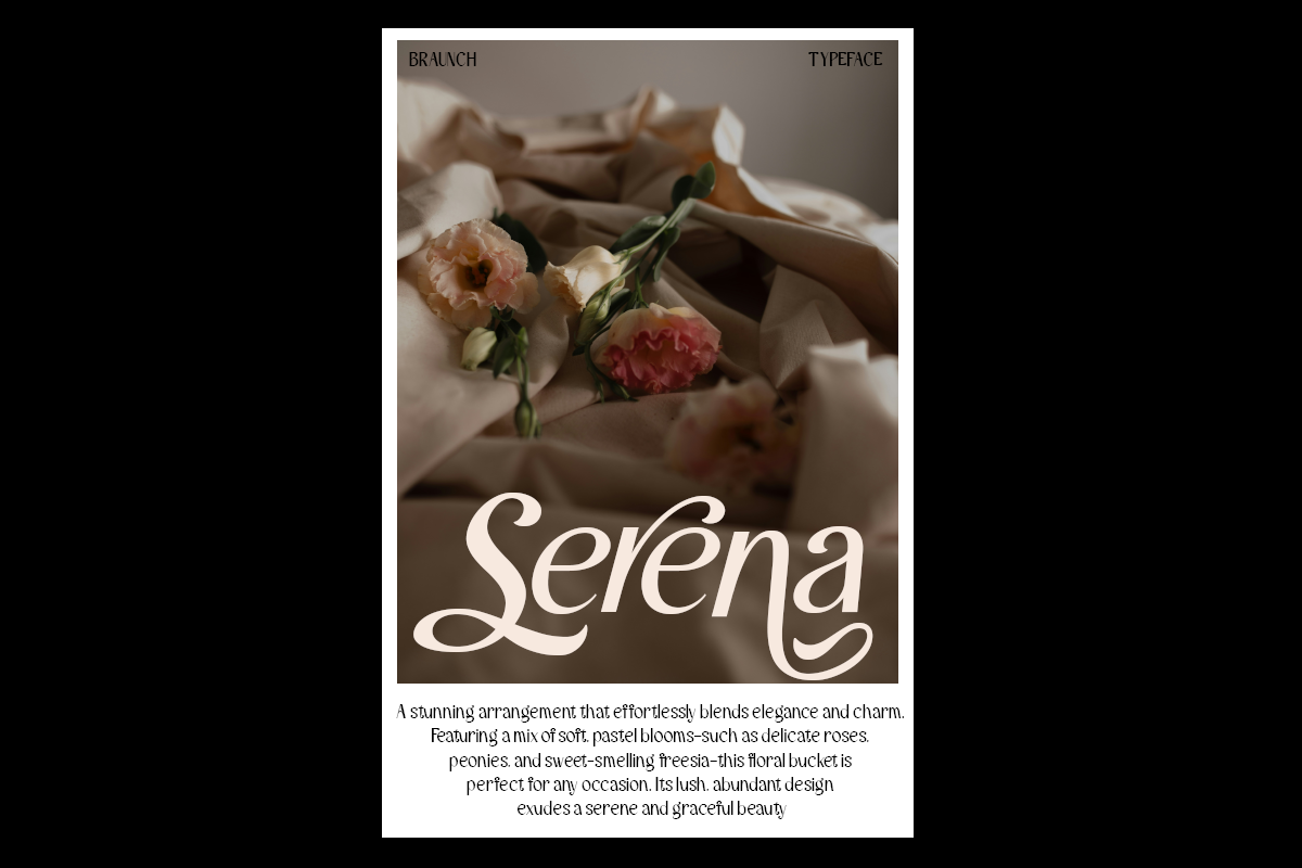 Braunch - Brand Sans Font, a Sans Serif Font by Say Studio (Photo 6 of 14)