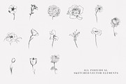 Watercolor Clipart Bundle, an Illustration by The Autumn Rabbit Ltd (Thumbnail 22 of 26)