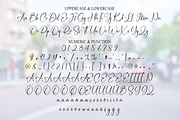Amsterdam | Script Font, a Handwritten Font by Scratchones (Thumbnail 7 of 8)