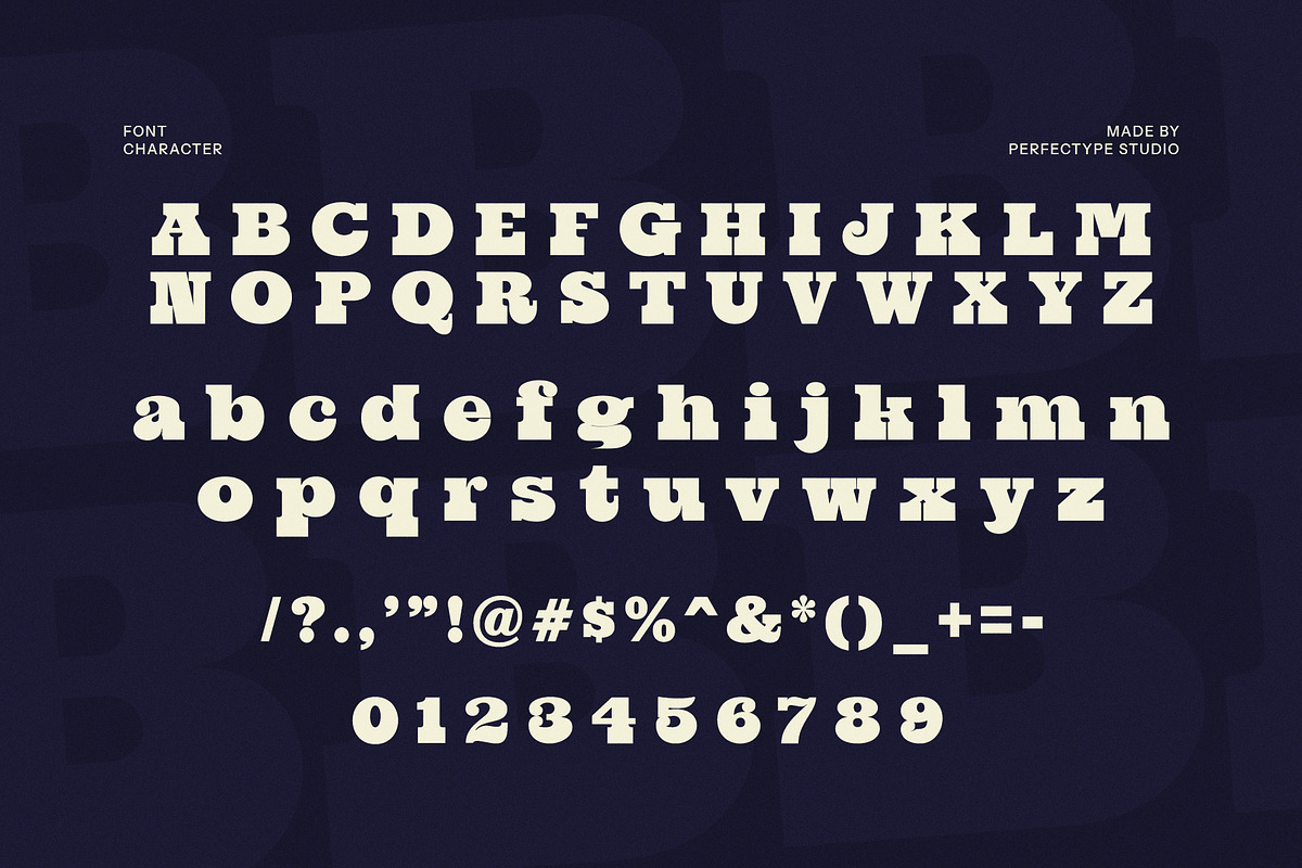The Round Eight Serif Font, a Slab Serif Font by Perfectype (Photo 7 of 7)