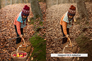 20 Cider Lightroom Presets and LUTs, a Preset Add-On by SparkleStock (Thumbnail 4 of 13)