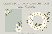 Wild Daisy Floral Set & Patterns, a Decorative Illustration by OREHOVKA (Thumbnail 4 of 4)